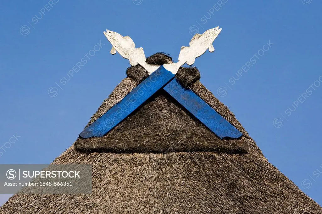 Gable with wooden fish on a thatched building of the Elf-fishing and mining operation in Hoopte Stoef GBR, Winsen on the Luhe, Lower Saxony, Germany, ...