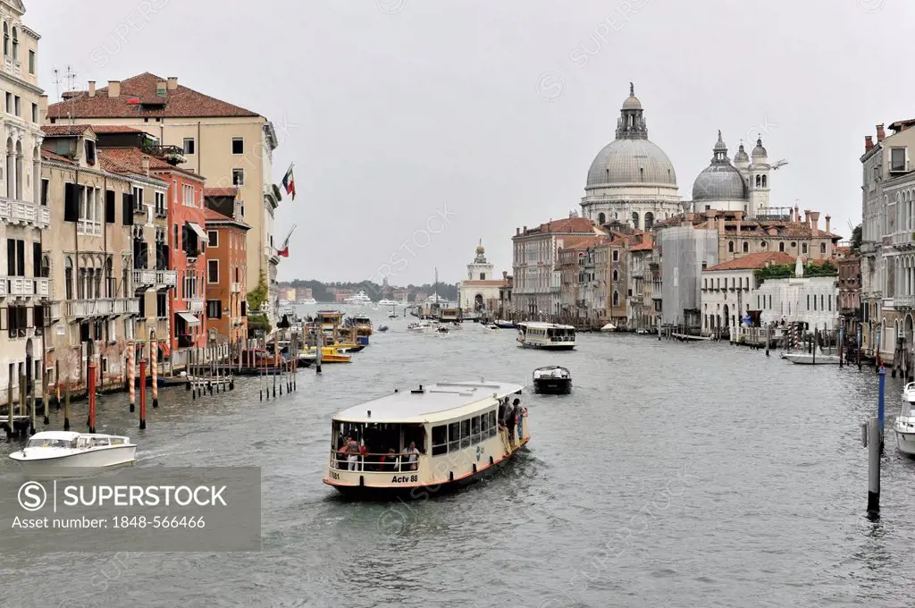 Grand Canal, Santa Maria della Salute Church on the right, Venice, Veneto, Italy, Europe