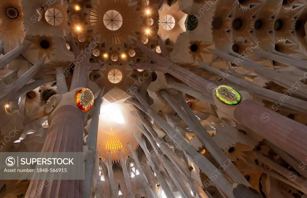Tree-shaped pillars and ceiling, interior of Sagrada Familia, Basílica i Temple Expiatori de la Sagrada Família, Basilica and Expiatory Church of the ...