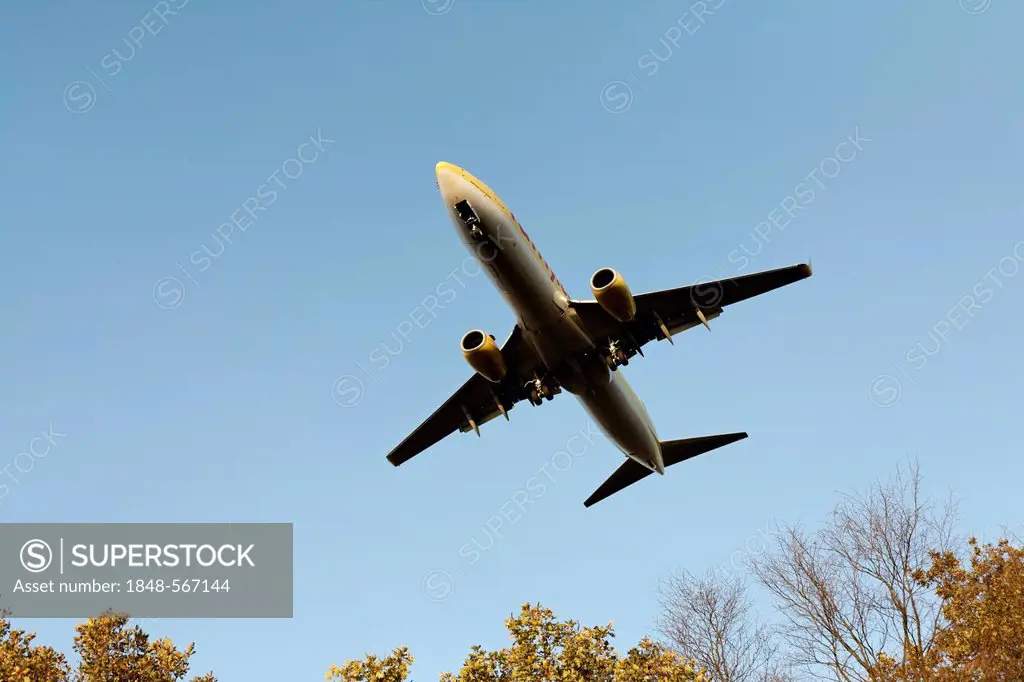 Boeing 737 landing, flying over autumnal trees, Duesseldorf Airport, North Rhine-Westphalia, Germany, Europe