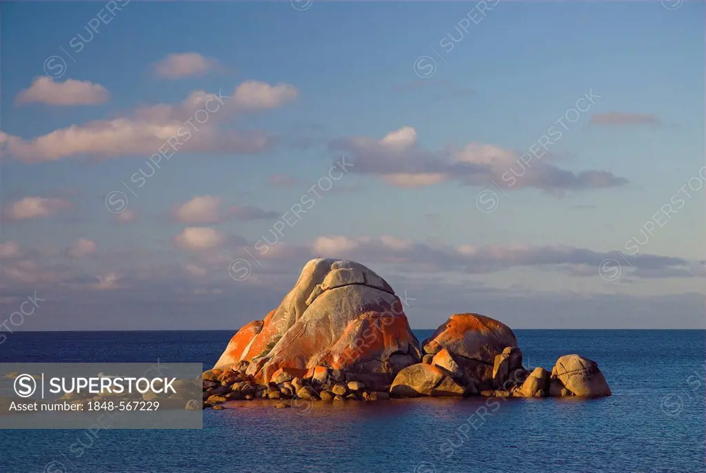 Rocks at Picnic Point, Mount William National Park in soft evening light, Mount William National Park, Tasmania, Australia