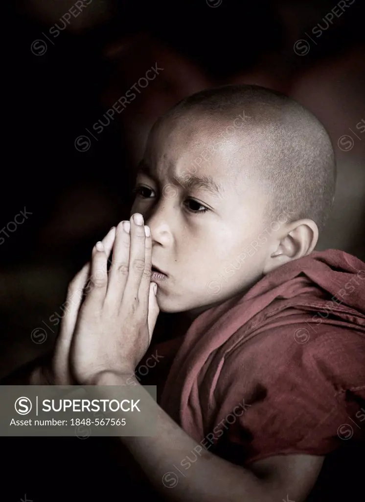 Buddhist novice praying, Bagan, Burma, Myanmar, Southeast Asia, Asia