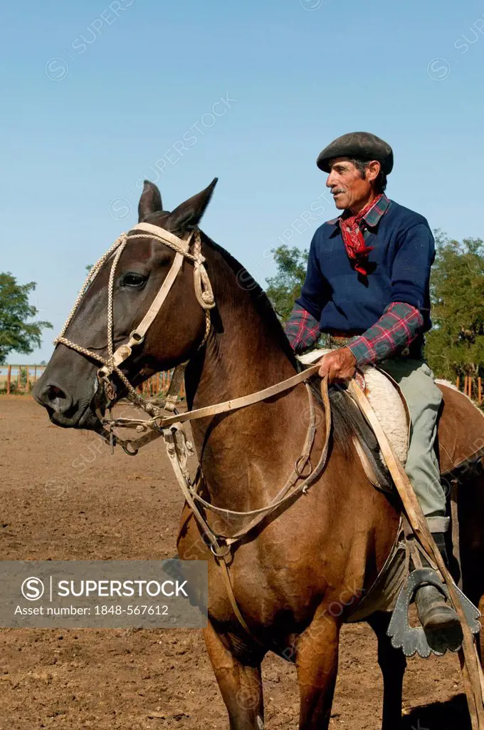Gaucho on horseback, Estancia San Isidro del Llano towards Carmen Casares, Buenos Aires province, Argentina, South America