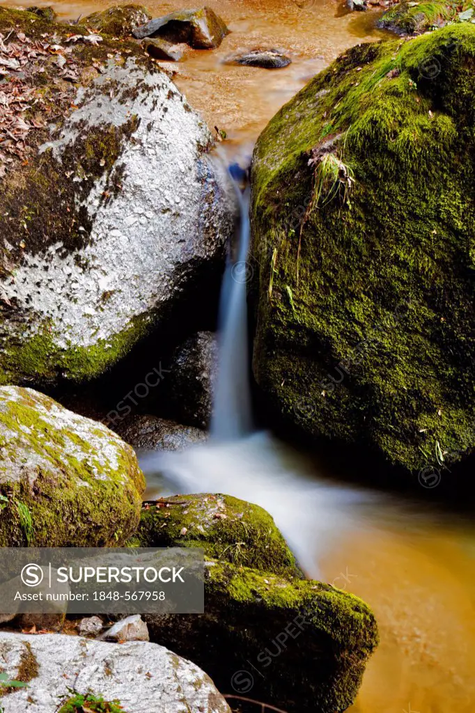 Creek with running water, small waterfall, Stillensteinklamm, Grein, Upper Austria, Austria, Europe