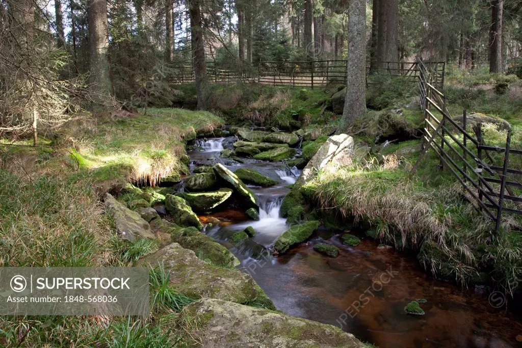 Creek course at Talsperre Oderteich reservoir, Harz National Park, Upper Harz, Lower Saxony, Germany, Europe, PublicGround