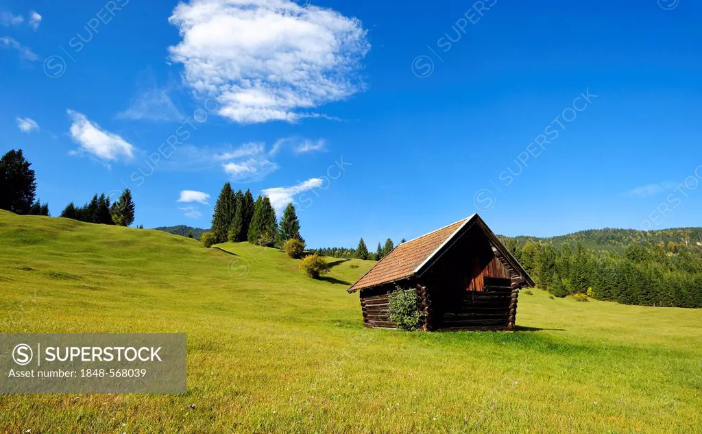 Undulated meadows with hay shacks near Mittenwald, Werdenfelser Land region, Upper Bavaria, Bavaria, Germany, Europe