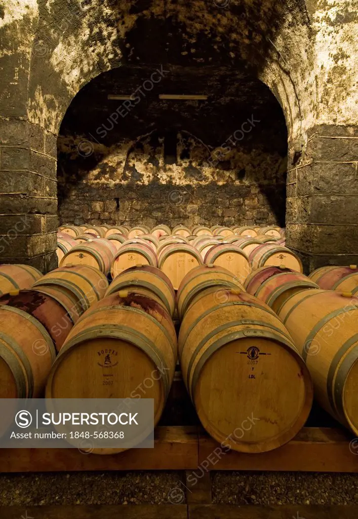 Wine aging in oak barrels in vaulted wine cellar in Bolzano, Bozen, Trentino-Alto Adige, Italy, Europe