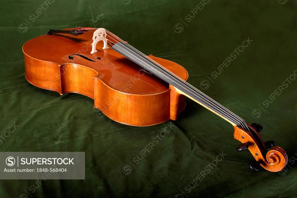 Violoncello, cello
