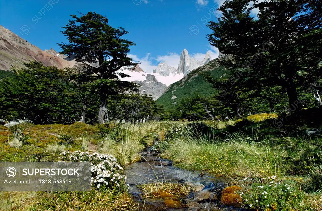 Los Glaciares National Park, UNESCO World Heritage Site, with Monte Fitz Roy, El Chalten, Cordillera, Santa Cruz province, Patagonia, Argentina, South...