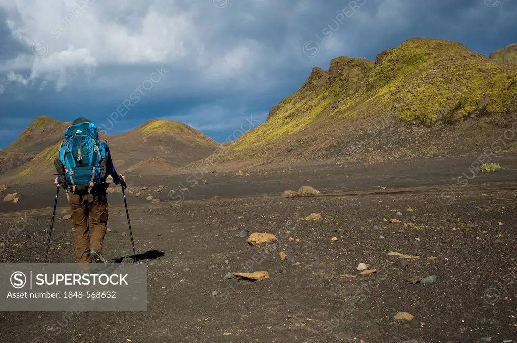Hiker in the Black Lava Desert, with moss-covered mountains along the Laugavegur hiking trail, Álftavatn-Emstrur, Highland, Iceland, Europe