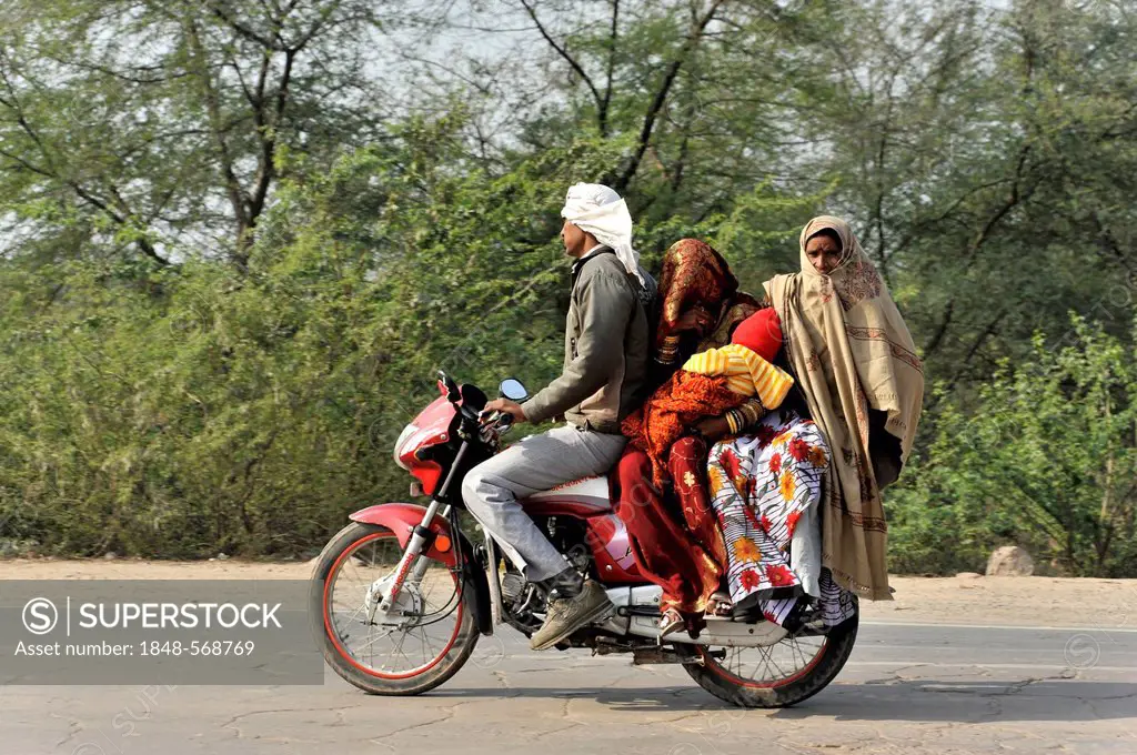 Indian family travelling on a motorbike, near Gwalior, Rajasthan, North India, India, Asia