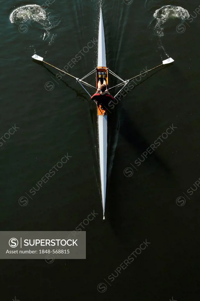 Single rowing skiff on the Neckar River, Heidelberg, Baden-Wuerttemberg, Germany, Europe