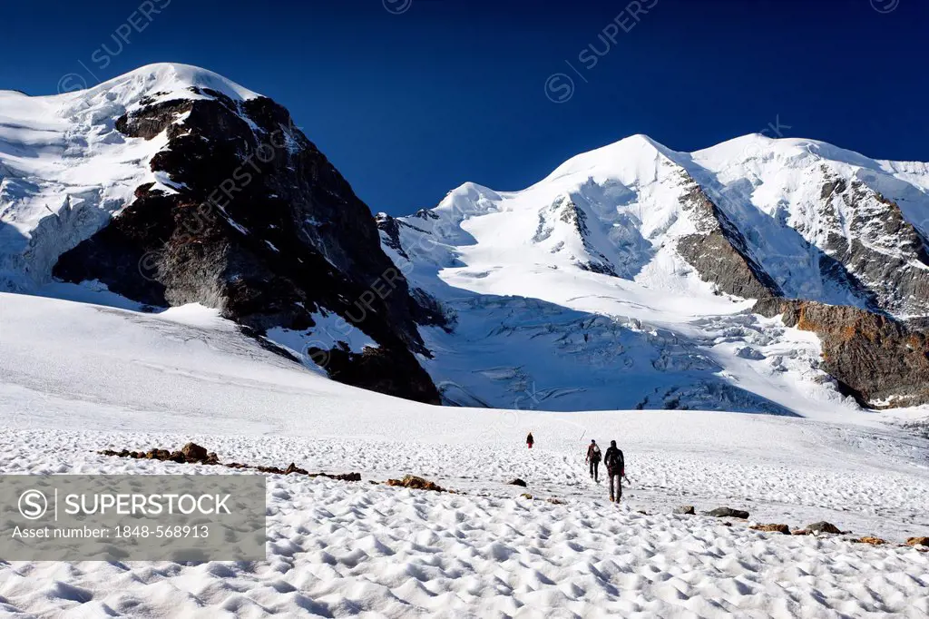 Climbers on Pers Glacier ascending towards Piz Palue Mountain, with Piz Cambrena Mountain on the right, Grisons, Switzerland, Europe