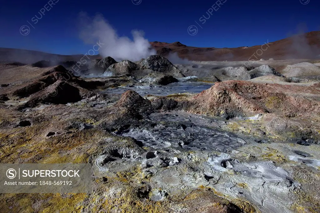 Sol de Manana geothermal field, Manana in Andina Eduardo Abaro National Park, Altiplano, Potosi, southern Bolivia, South America