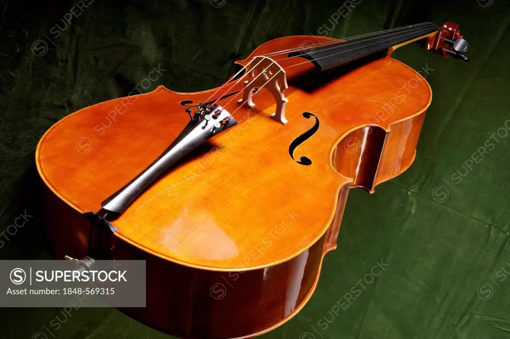Violoncello, cello