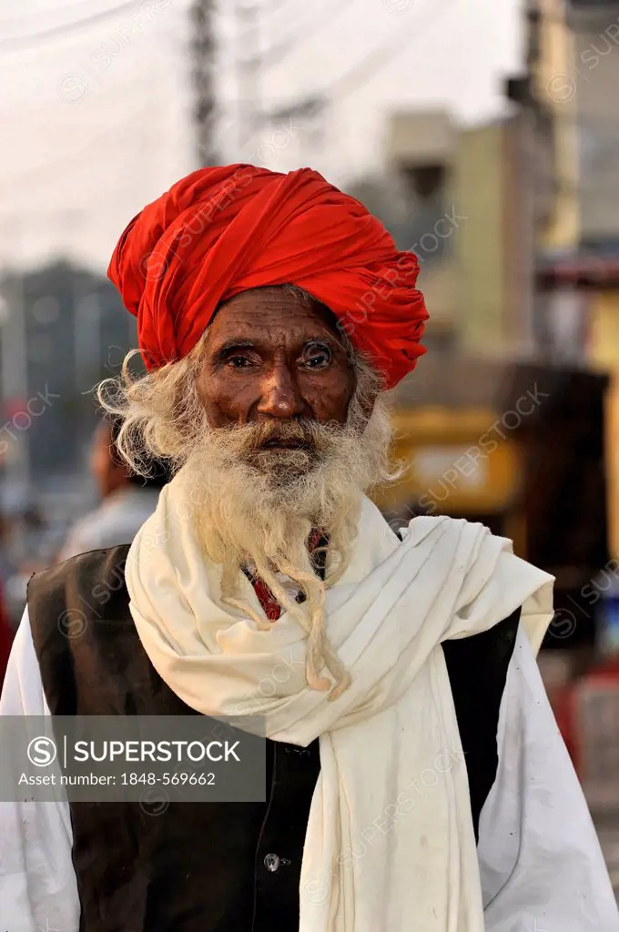 Sadhu or holy man, Agra, Uttar Pradesh, North India, India, Asia