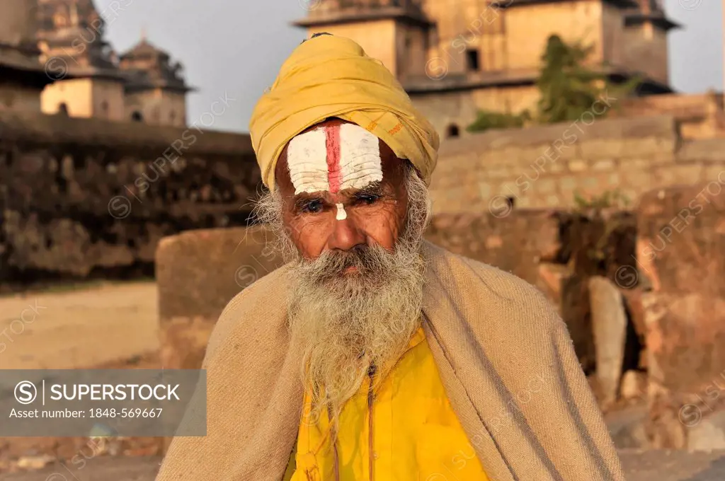 Sadhu or holy man, Orchha, Madhya Pradesh, North India, India, Asia