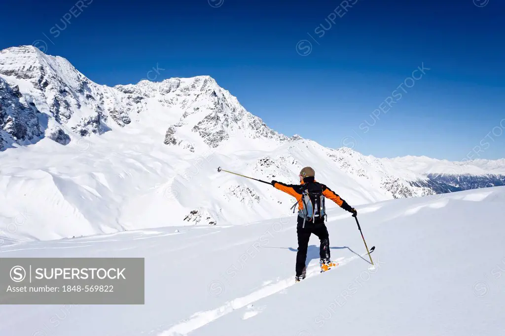 Cross-country skiers ascending Hintere Schoentaufspitze Mountain, Solda in winter, with the Ortler and Zebru mountains at the rear, Alto Adige, Italy,...
