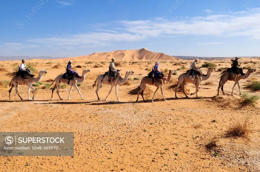 Tourists riding camels in the Adrar Tekemberet plateau, Immidir, Algeria, Sahara, North Africa