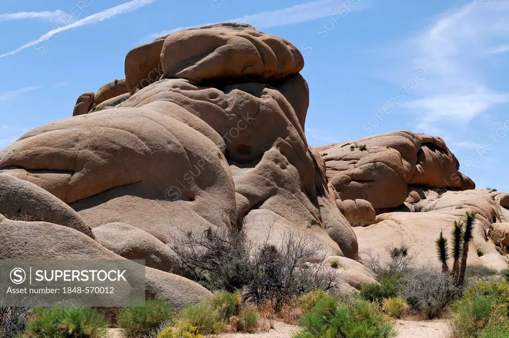 Monzogranite rock formations, Joshua Tree National Park, Palm Desert, Southern California, USA, North America