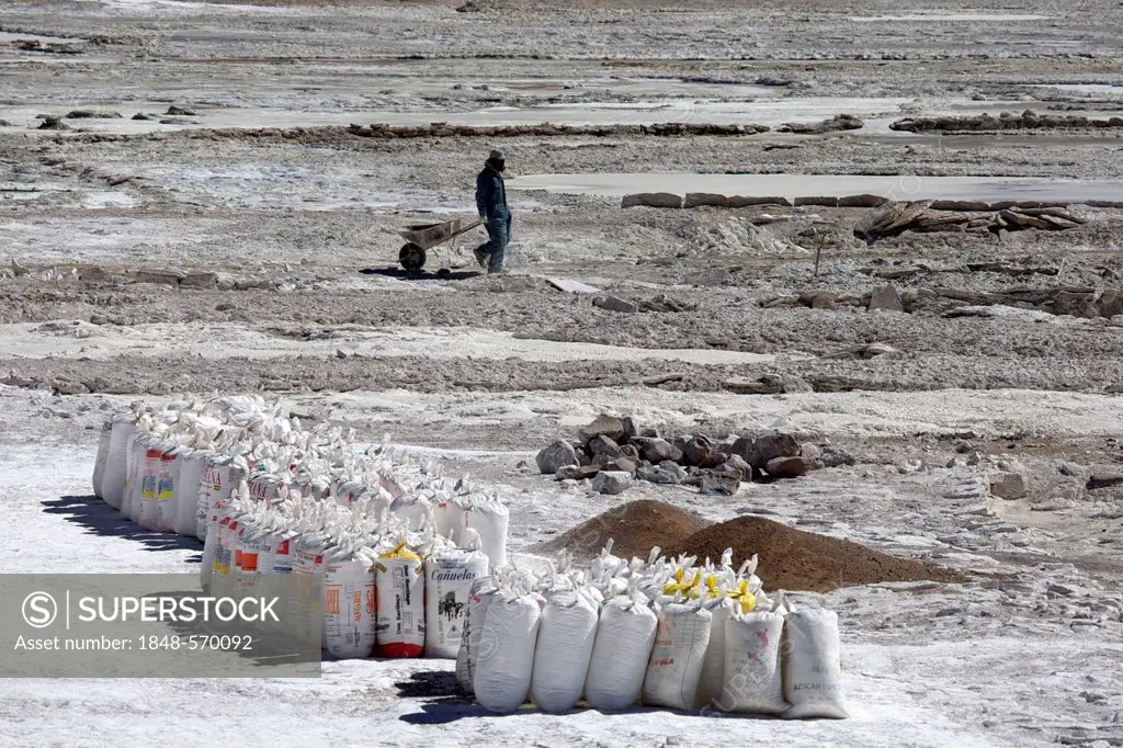 Salt worker with a wheelbarrow, flour sacks packed with salt at a salt lake, Altiplano, Potosi, southern Bolivia, South America