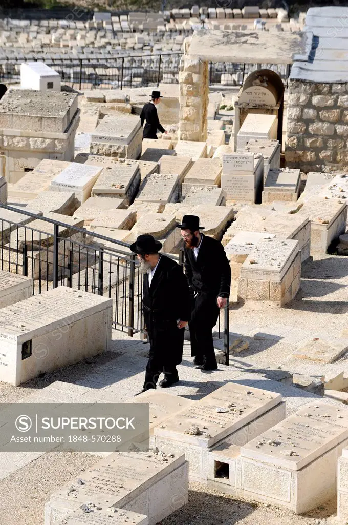 Orthodox Jews in the Jewish cemetery, Mount of Olives, Old City of Jerusalem, Israel, Middle East, Western Asia, Asia