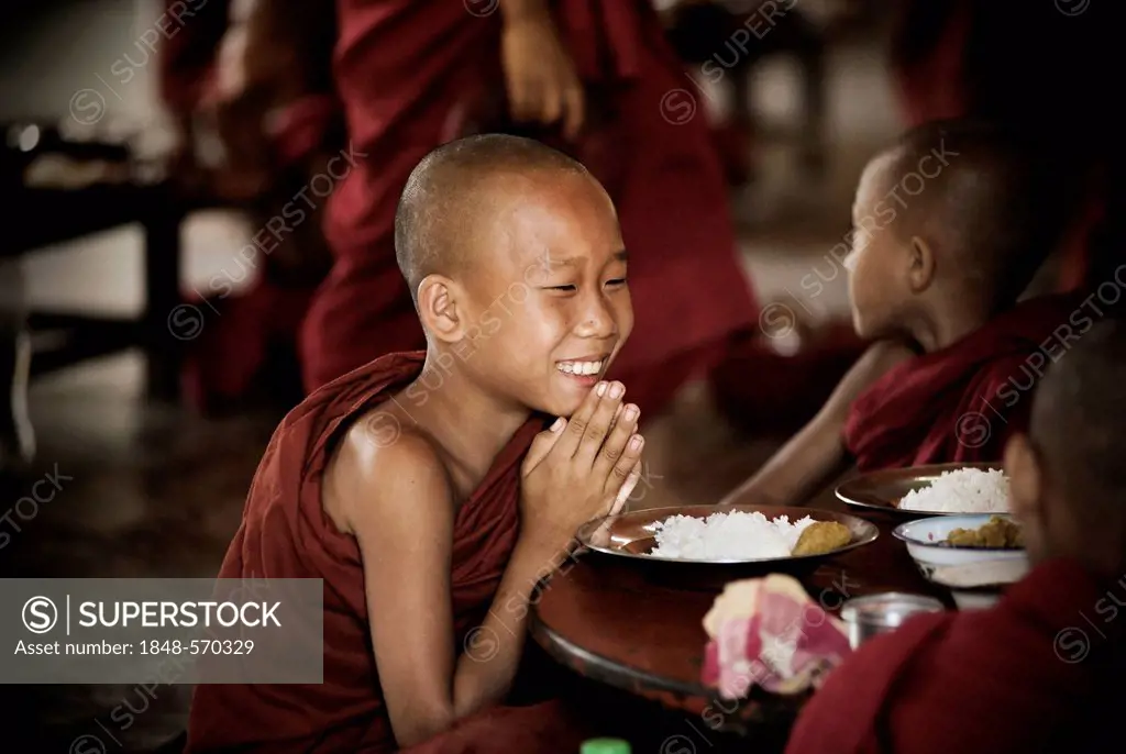 Buddhist novice praying, sitting at a table, Bagan, Mandalay Division, Myanmar, Burma