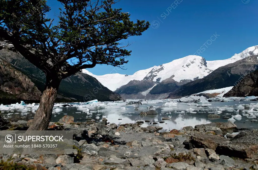 Lago Onelli, Cordillera, Los Glaciares National Park, UNESCO World Heritage Site, Santa Cruz province, Patagonia, Argentina, South America