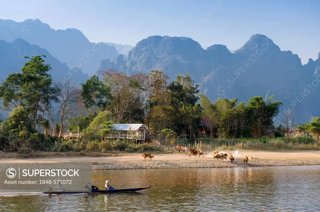 Herd of buffaloes and canoe on the Nam Song River, karst mountains, Vang Vieng, Vientiane, Laos, Indochina, Asia