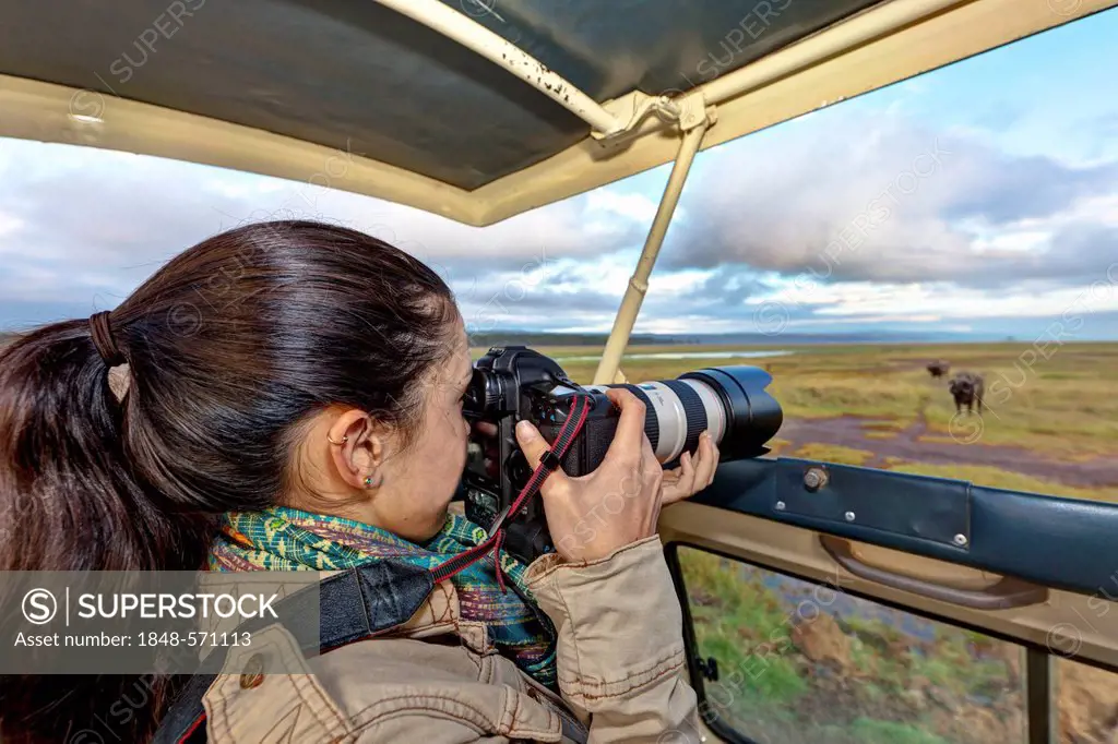 Young photographer taking pictures of a buffalo from a safari bus, Lake Nakuru National Park, Kenya, East Africa, PublicGround