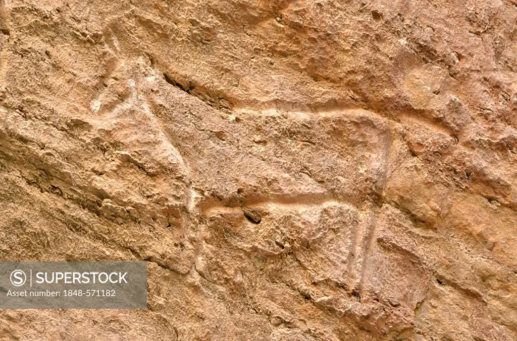 Stone Age rock carving in the UNESCO World Heritage site of Gobustan with about 6, 000 rock carvings up to 40, 000 years, near the district town of Go...
