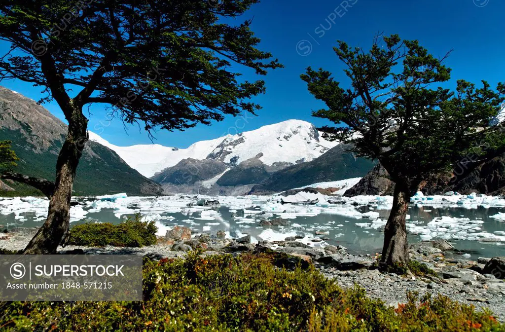 Lago Onelli, Los Glaciares National Park, UNESCO World Heritage Site, Cordillera, Santa Cruz province, Patagonia, Argentina, South America