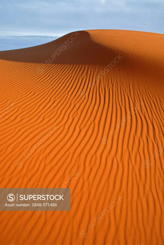 The sand dunes of Erg Chebbi at the western edge of the Sahara desert, Meknès-Tafilalet, Morocco, Africa