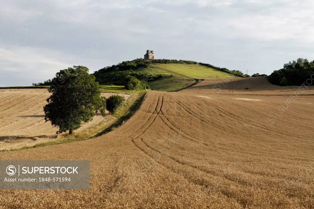 Agricultural landscape, grainfields, near Billom, Puy de Dome, France, Europe