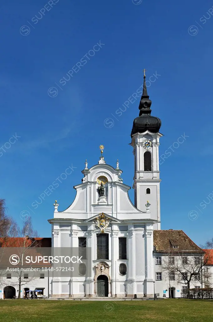 Marienmuenster-Mariae-Himmelfahrt church, Diessen on Lake Ammer, Bavaria, Germany, Europe