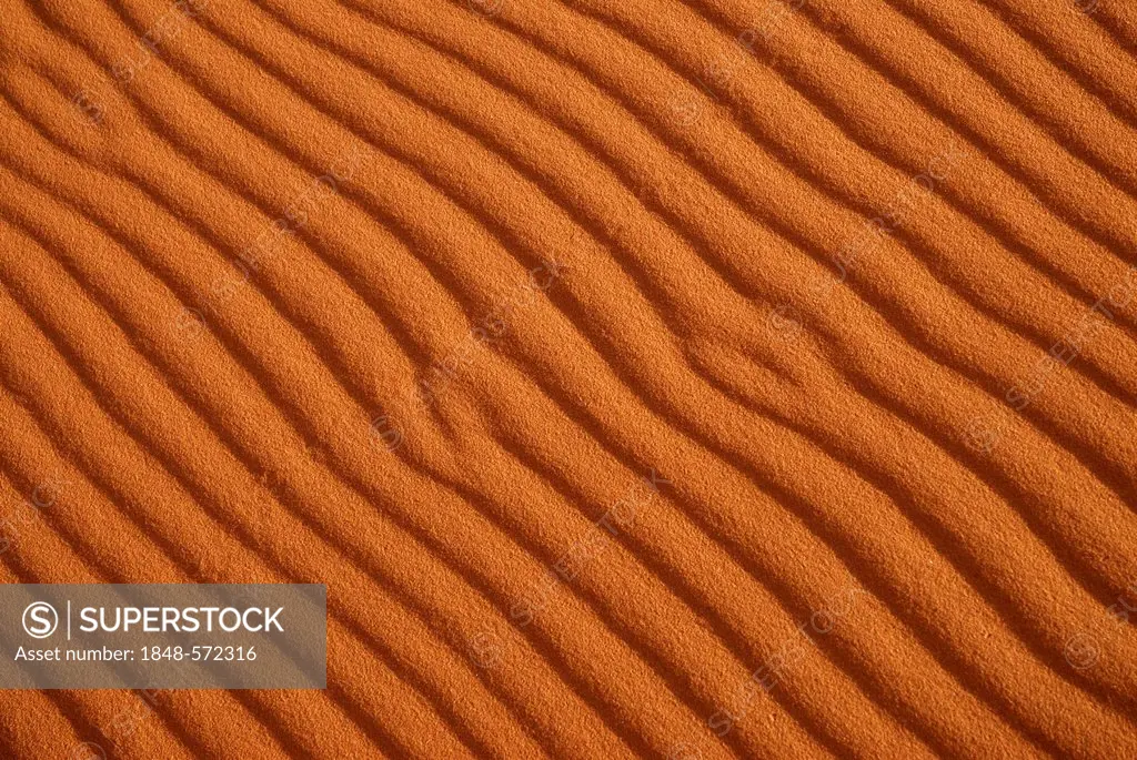 Sand patterns on the sand dunes of Erg Chebbi in evening light, at the western edge of the Sahara desert, Meknès-Tafilalet, Morocco, Africa