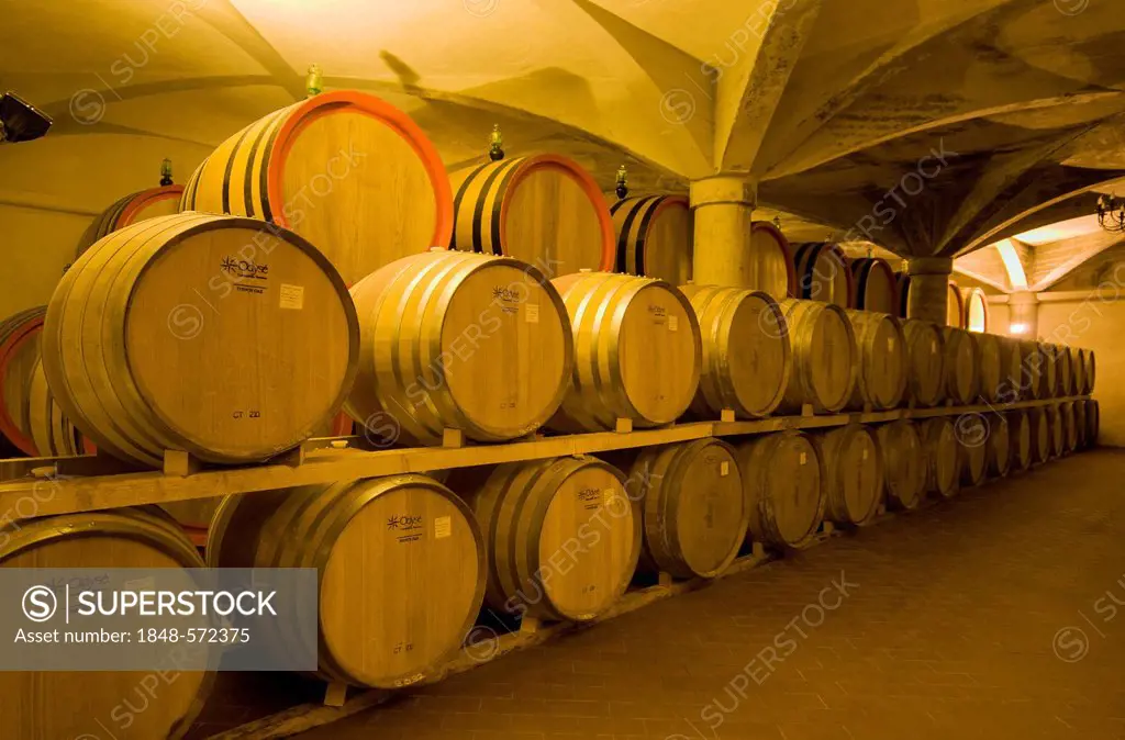 Wine aging in oak barrels in vaulted cellar in Montalcino, Toscana, Tuscany, Italy, Europe