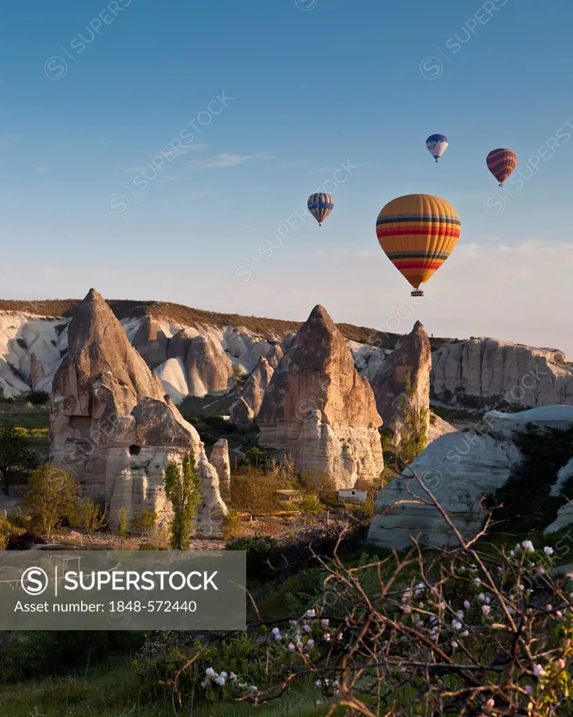 Hot air balloons and tufa fairy chimneys near Goreme, UNESCO World Heritage Site, Cappadocia, Anatolia, Turkey