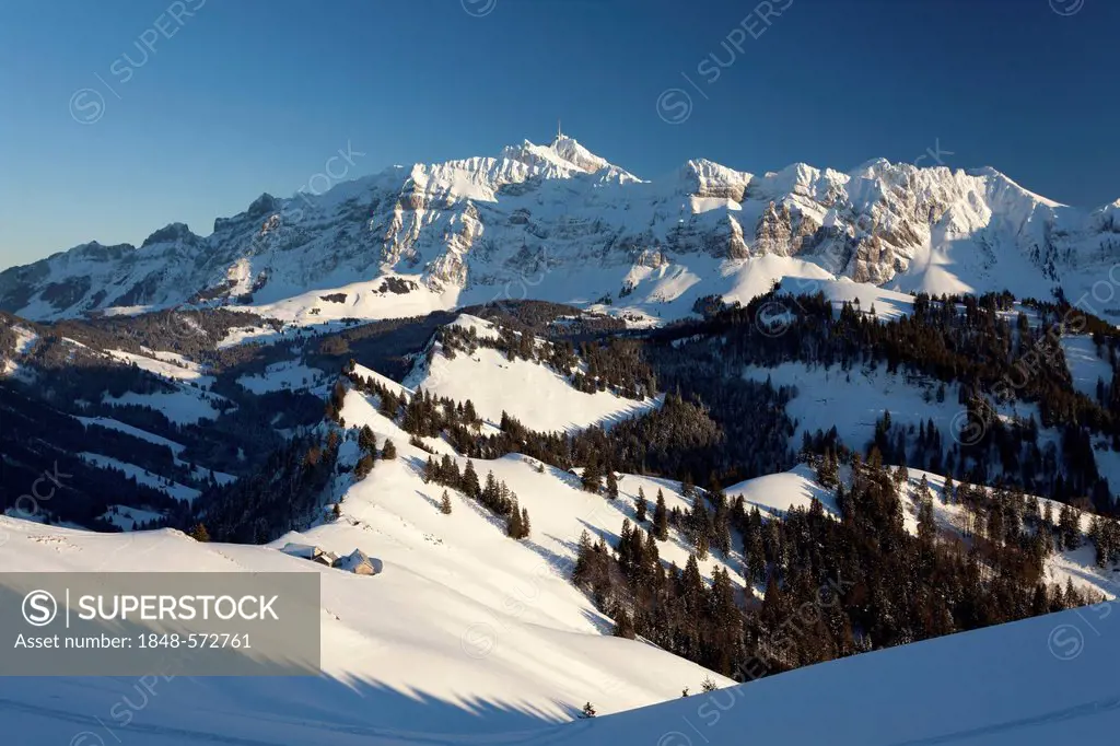View from the high alp to the Alpstein massif with Mt Saentis, Appenzell, St Gallen, Swiss Alps, Switzerland, Europe