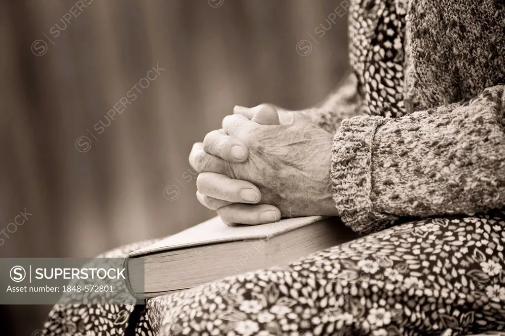 Folded hands of an old woman lying in her lap on a book, sepia processing