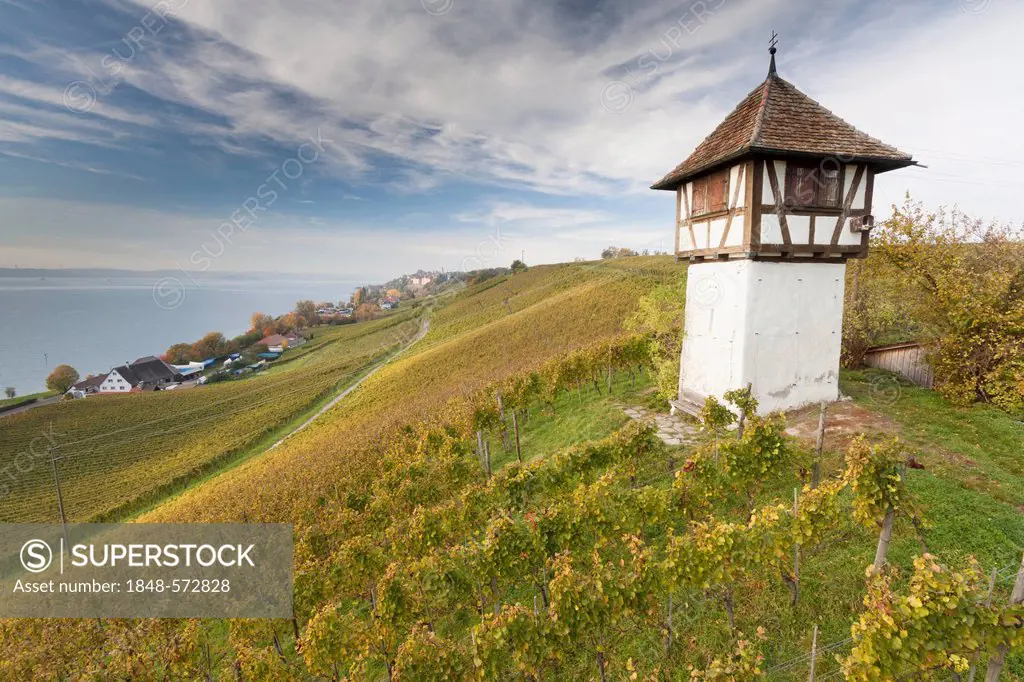 Winzerturm tower above Haltnau winery near Meersburg, looking towards Lake Constance, Bodenseekreis district, Baden-Wuerttemberg, Germany, Europe