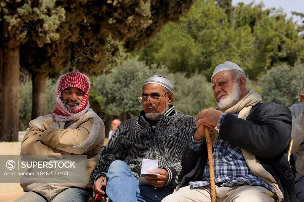 Three Israeli Palestinians sitting on a bench on the Temple Mount, Muslim Quarter, Old City, Jerusalem, Israel, Middle East