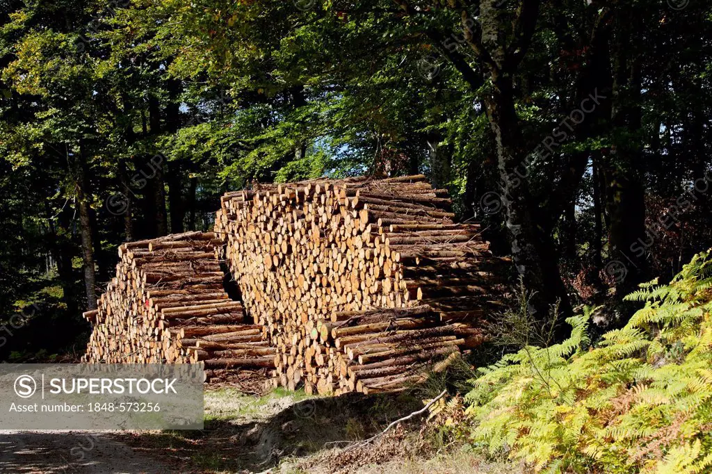 Logs, Parc Naturel Regional de Millevaches en Limousin, Millevaches Regional Natural Park, Correze, France, Europe