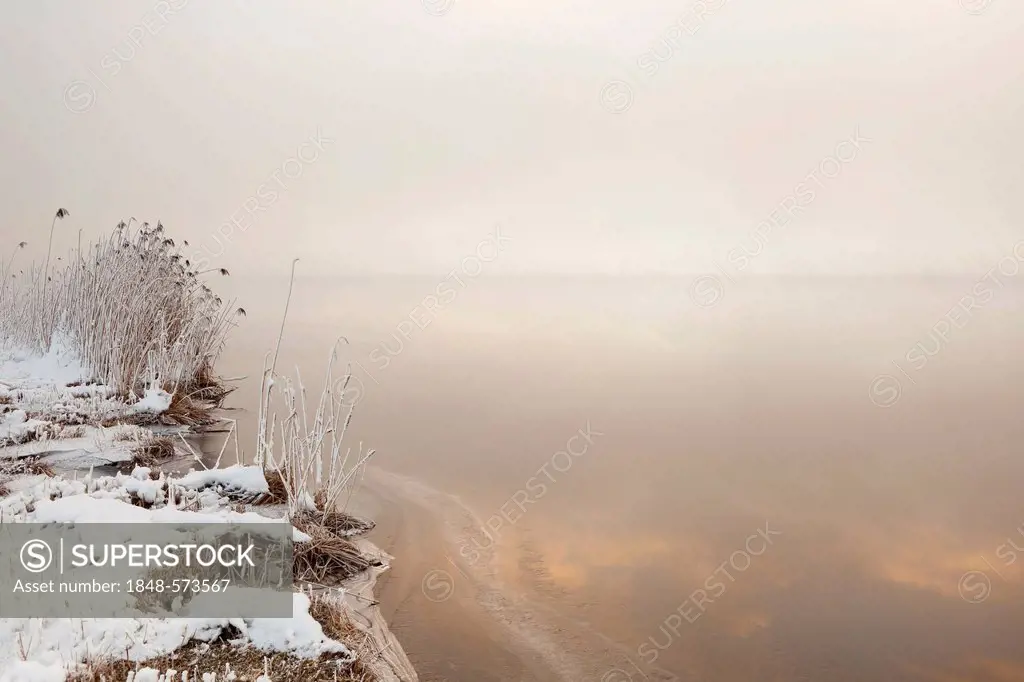 Early morning fog at Hopfensee Lake in winter, Allgaeu, Bavaria, Germany, Europe, PublicGround