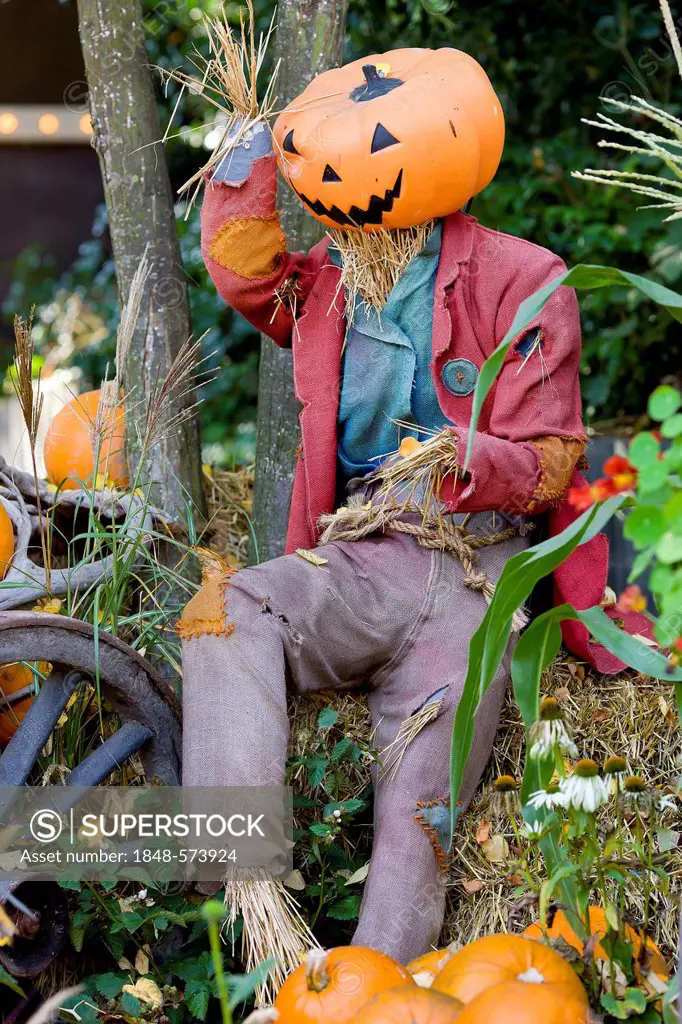 Halloween scarecrow in Tivoli, Copenhagen, Denmark, Europe