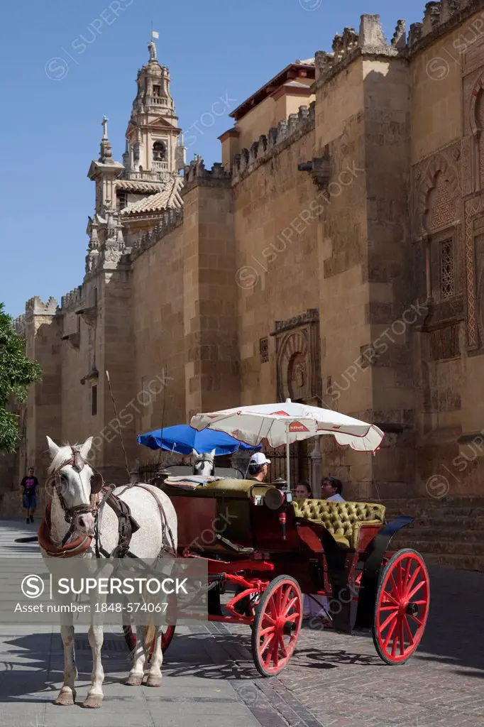 Horse and carriage outside La Mezquita, former mosque, Cordoba Catedral, Cordoba Cathedral, UNESCO World Heritage Site, Cordoba, Andalusia, Spain, Eur...