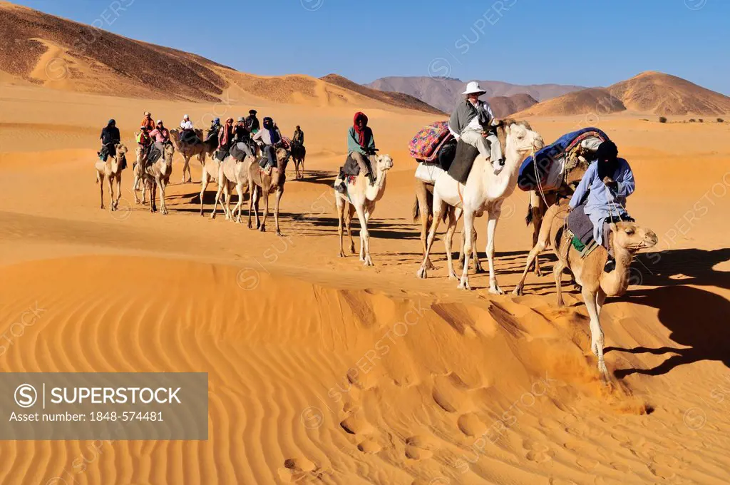 Touareg camel caravan with tourists travelling through low sand dunes of Erg Mehejibad, Immidir, Algeria, Sahara, North Africa