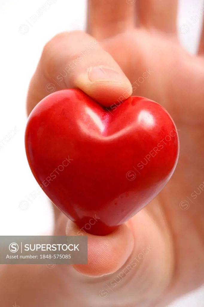 Hand holding a red heart, symbolic image for heart disease, heart attack, a diseased heart, cardiology