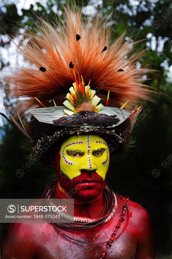Huli Wigmen from the Tari Valley in the Southern Highlands at a Sing-sing, wearing bird of paradise feathers and plumes particularly Raggiana Bird of ...