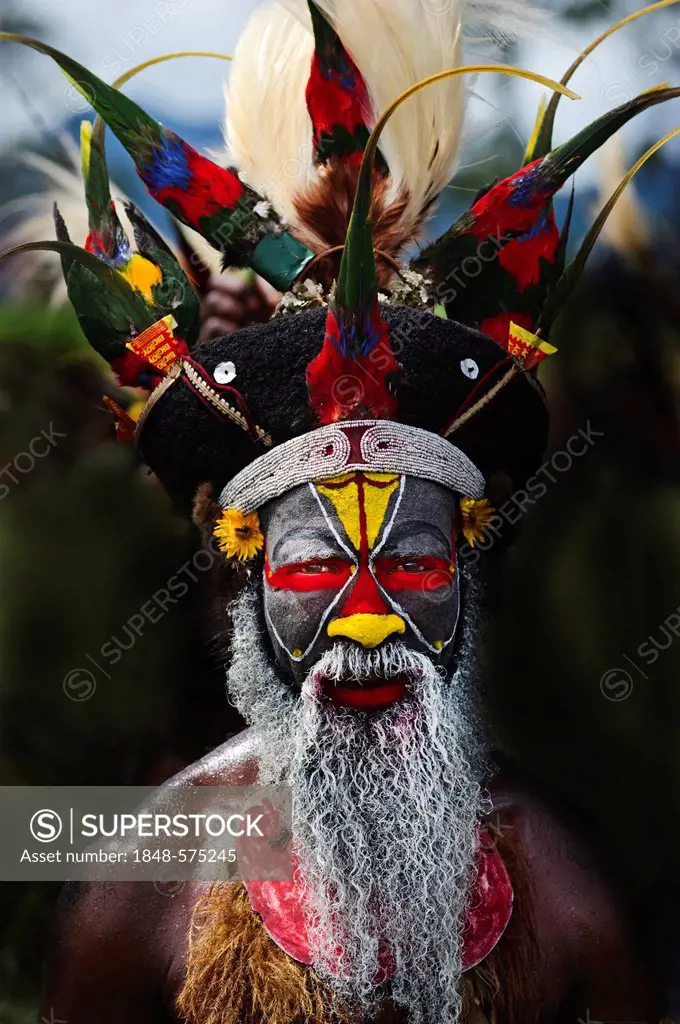 Performer from Tambul in Western Highlands at Mt Hagen Show Sing-sing in Western Highlands, Papua New Guinea, Oceania